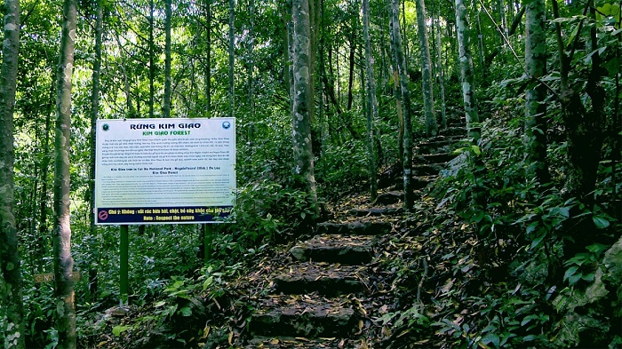 Đỉnh Ngự Lâm, rừng Kim Giao nằm trong khu du lịch Cát Bà là nơi du khách có thể đến để hòa mình vào thiên nhiên